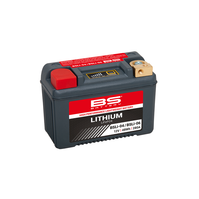 BSLI-04/06 BS Lithium-ion